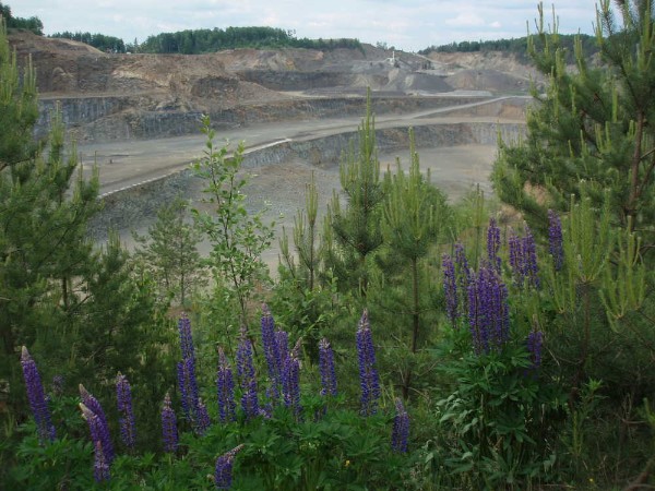 Steinbruch Maroldsweisach Steinbruch Maroldsweisach