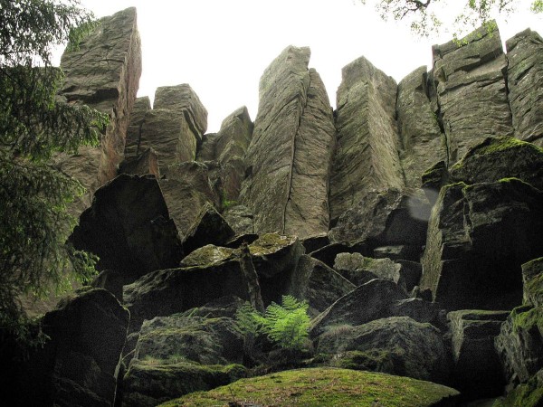 Basaltformationen der Rhön Foto: DVG e.V. Basaltformationen der Rhön Foto: DVG e.V.